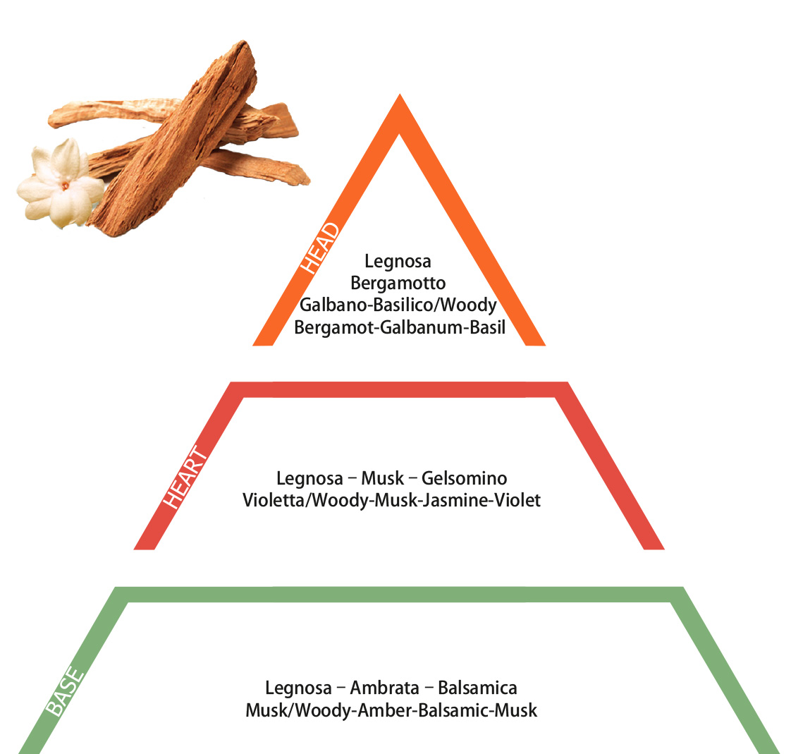 Essenza Legno Aromatico 50 ml - immagine 2