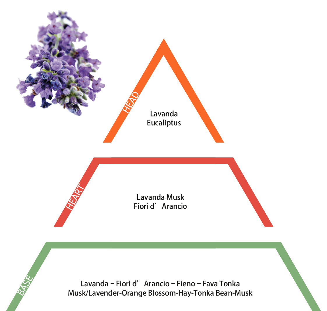 Essenza Lavanda 50 ml - immagine 2