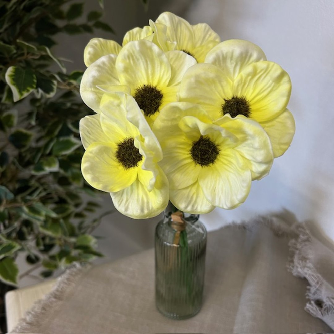 Mazzo di anemoni gialle sfumate - immagine 2