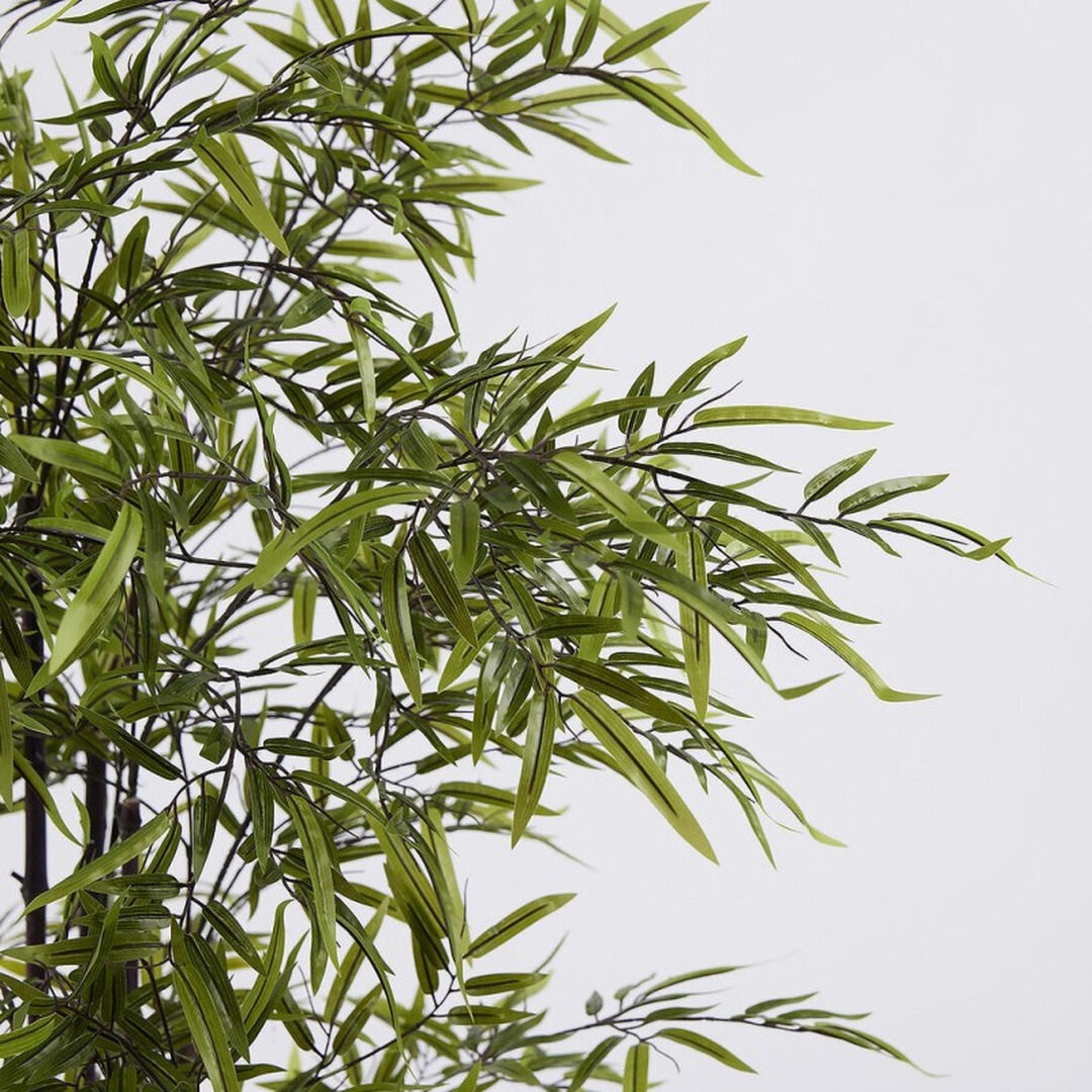 Pianta di Bamboo 150 cm - immagine 3