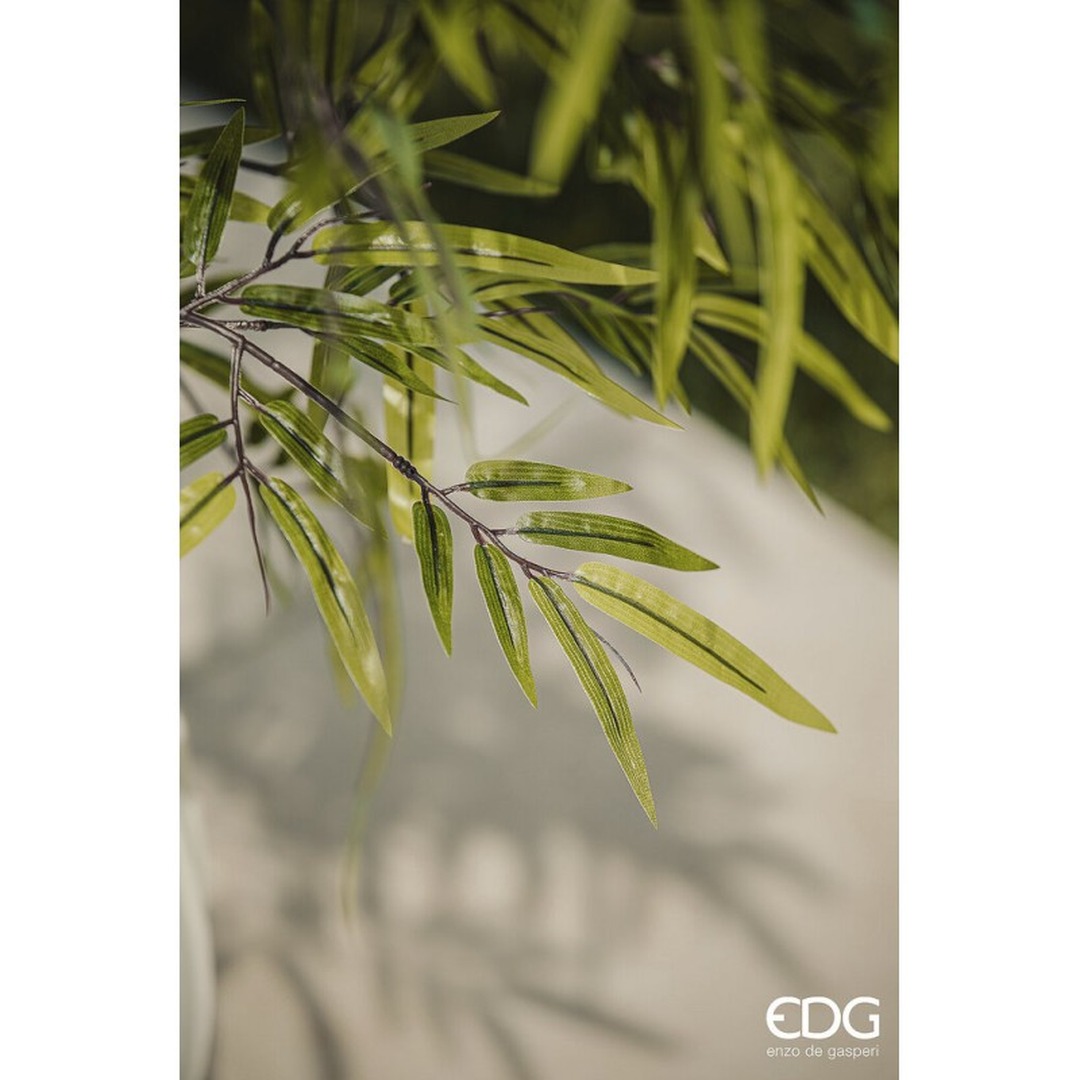 Pianta di Bamboo 150 cm - immagine 4