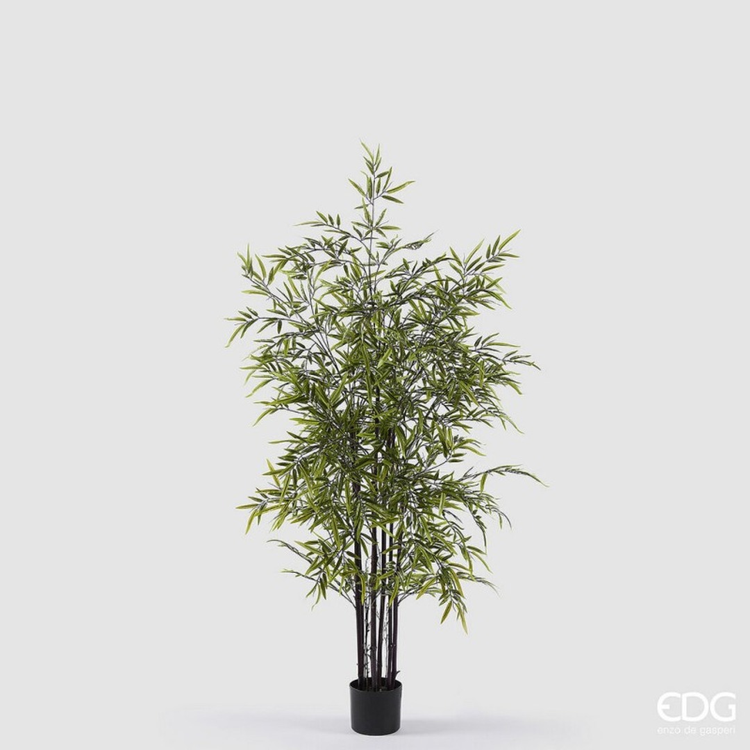 Pianta di Bamboo 150 cm - immagine 2
