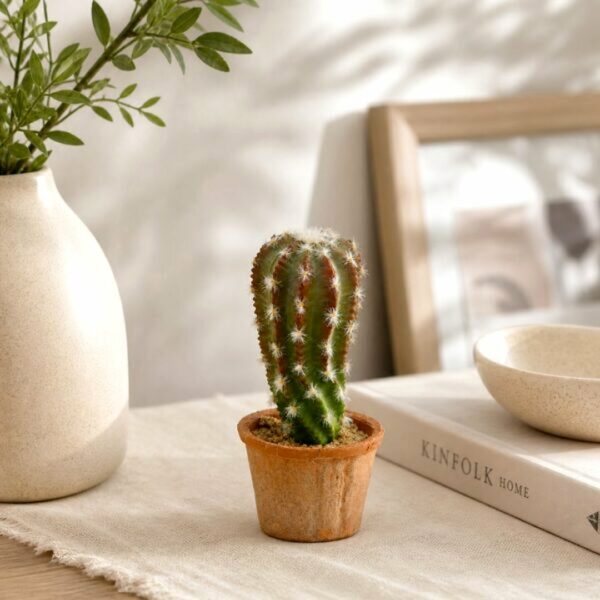 Cactus alto