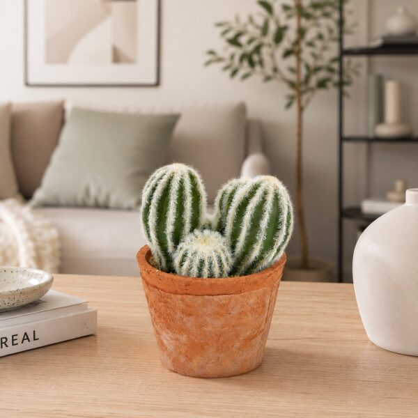 Cactus da 5
