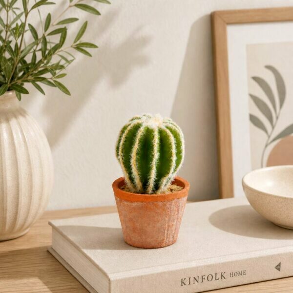 Cactus tondo