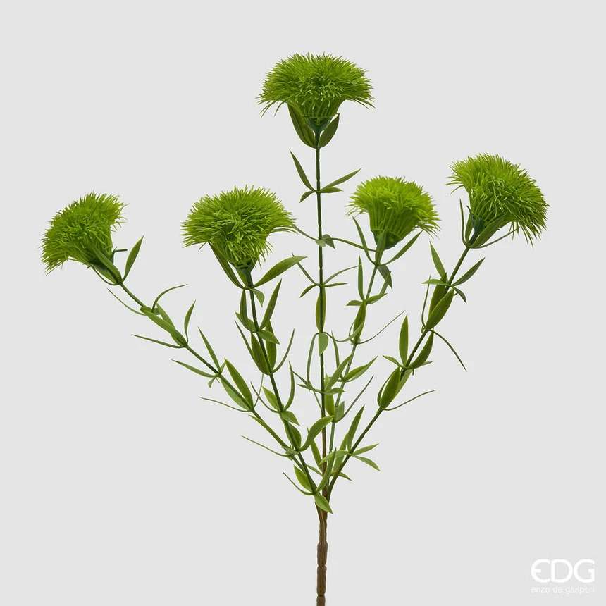 Cespuglio di Dianthus 44 cm - immagine 3