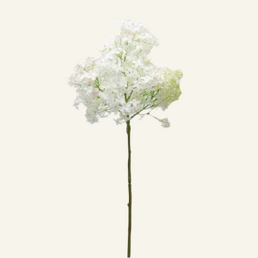 Ramo di Lillà bianco - immagine 2
