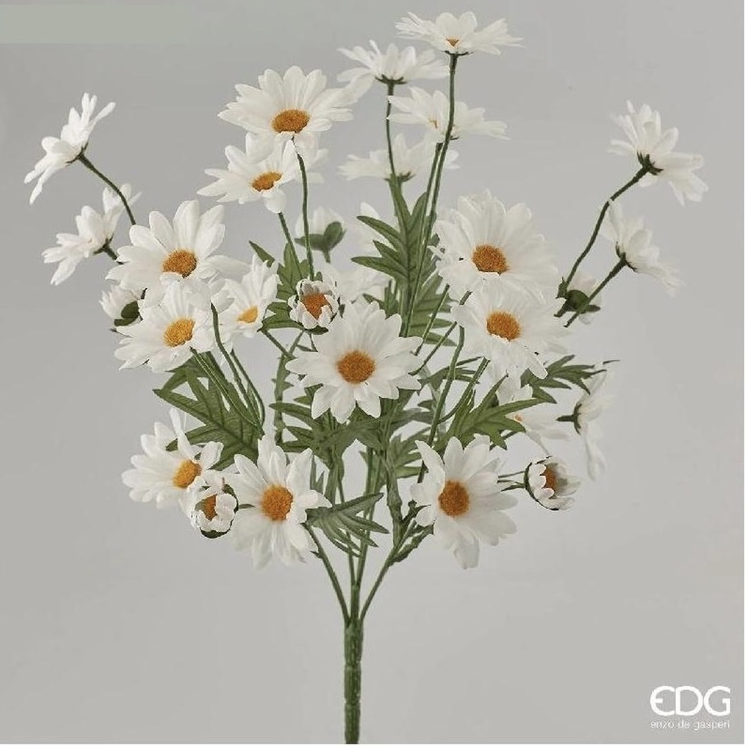 Mazzo di margherite bianche 50 cm - immagine 2
