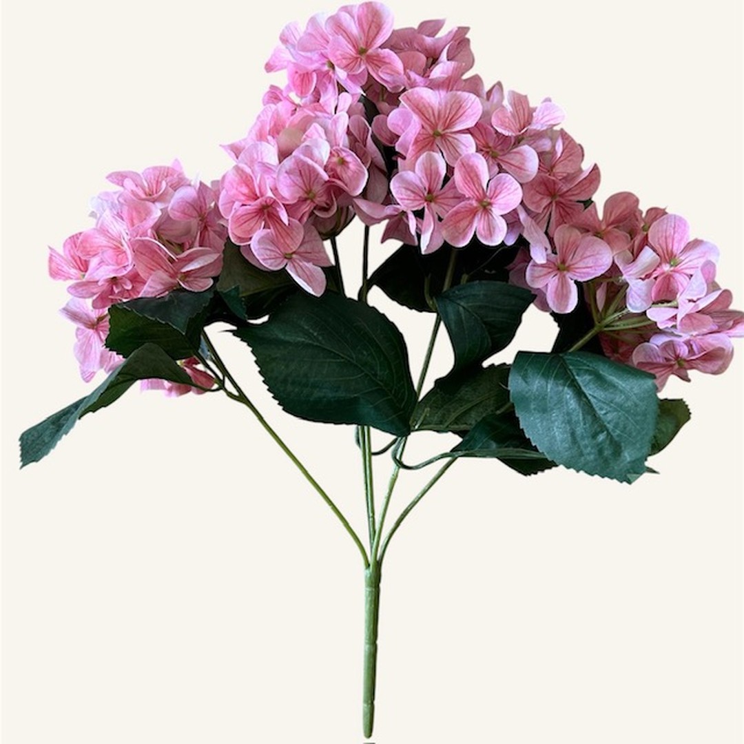 Cespuglio ortensie rosa scuro 40 cm - immagine 2