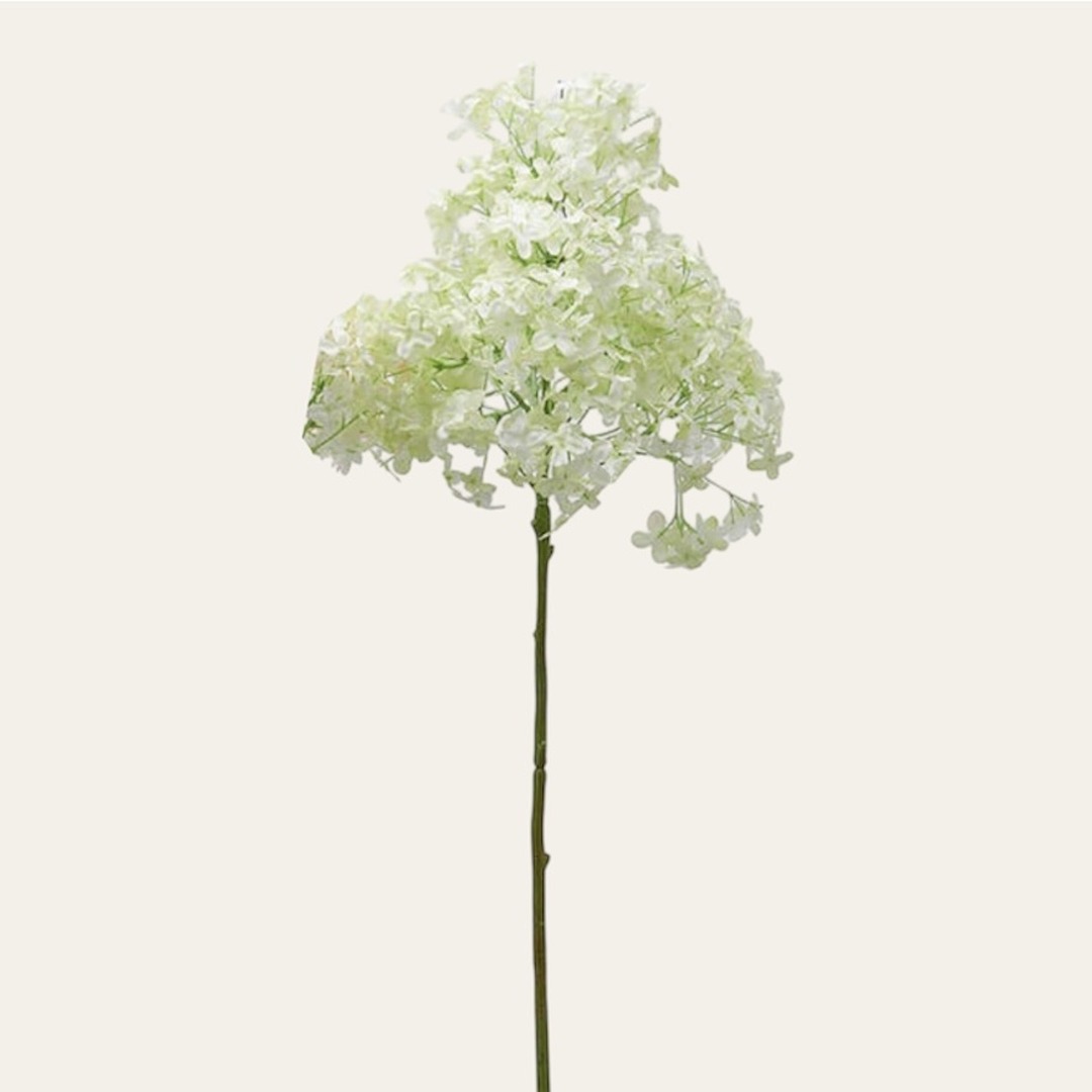 Ramo di Lillà verde - immagine 2