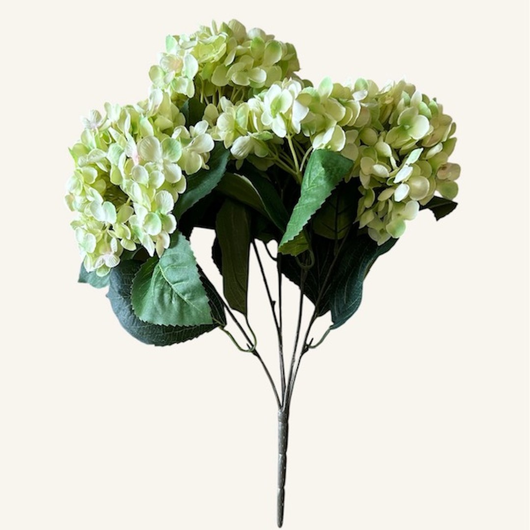 Cespuglio ortensie Chic lime 45 cm - immagine 2