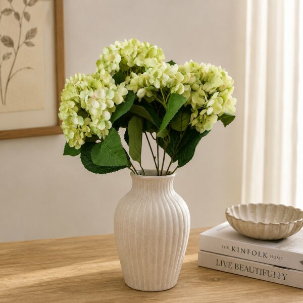 Cespuglio ortensie Chic lime 45 cm