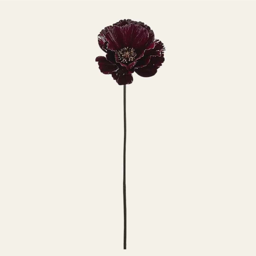 Papavero decorativo glossy viola - immagine 2