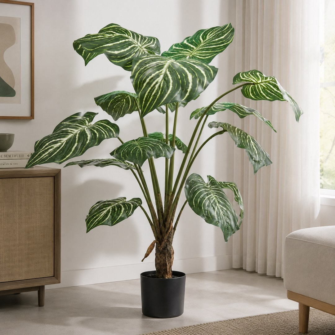 Calathea con vaso 100 cm