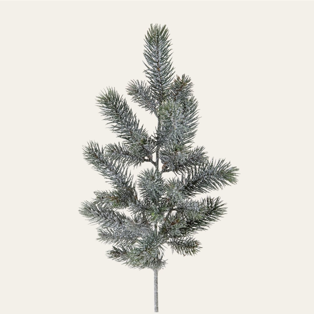 Ramo di pino innevato - immagine 2