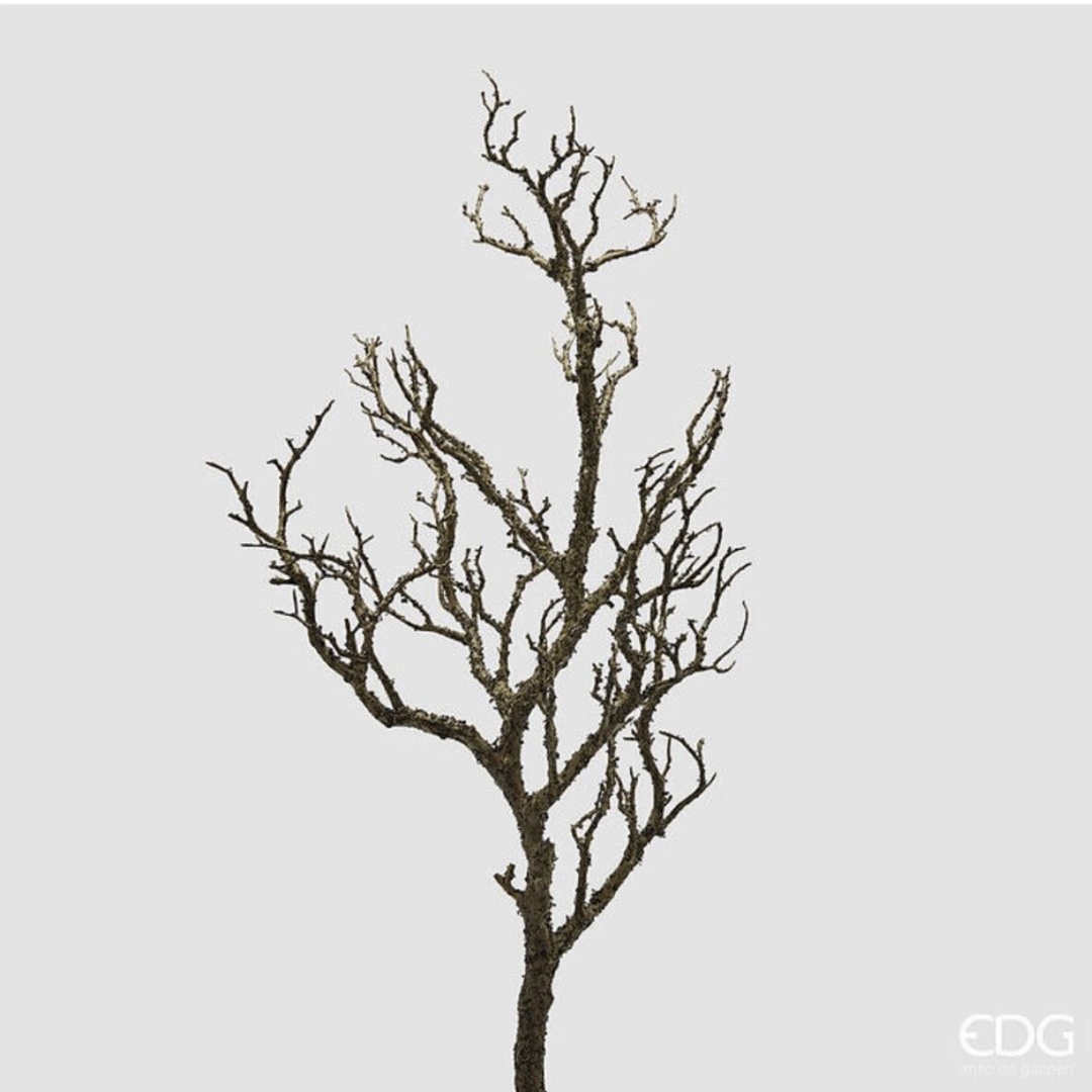 Ramo di Acacia 81 cm - immagine 2