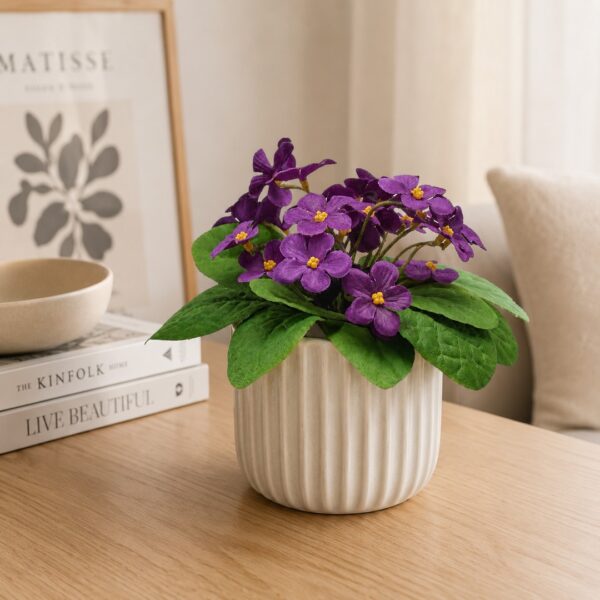Violetta Viola