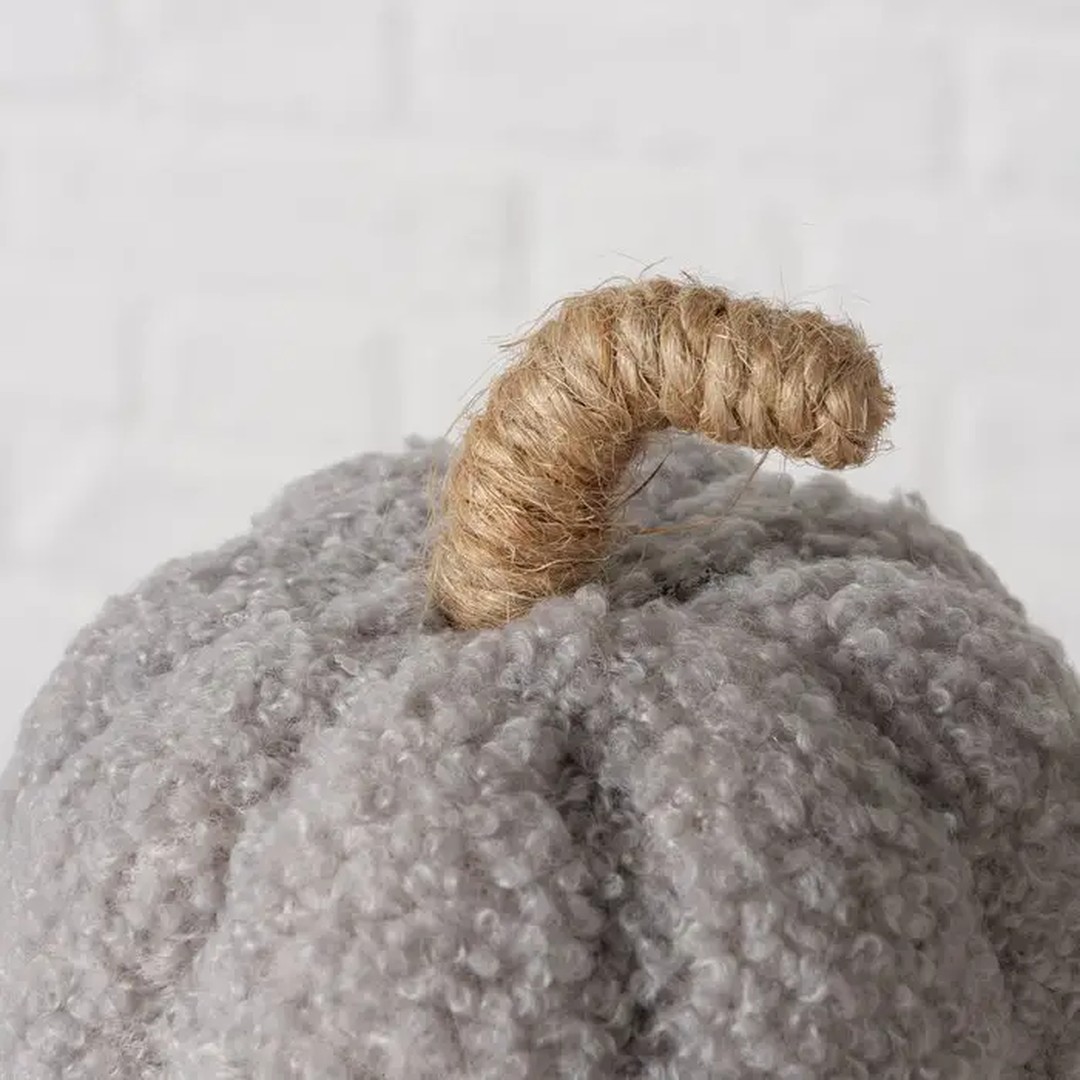 Zucca Teddy grigia - immagine 3