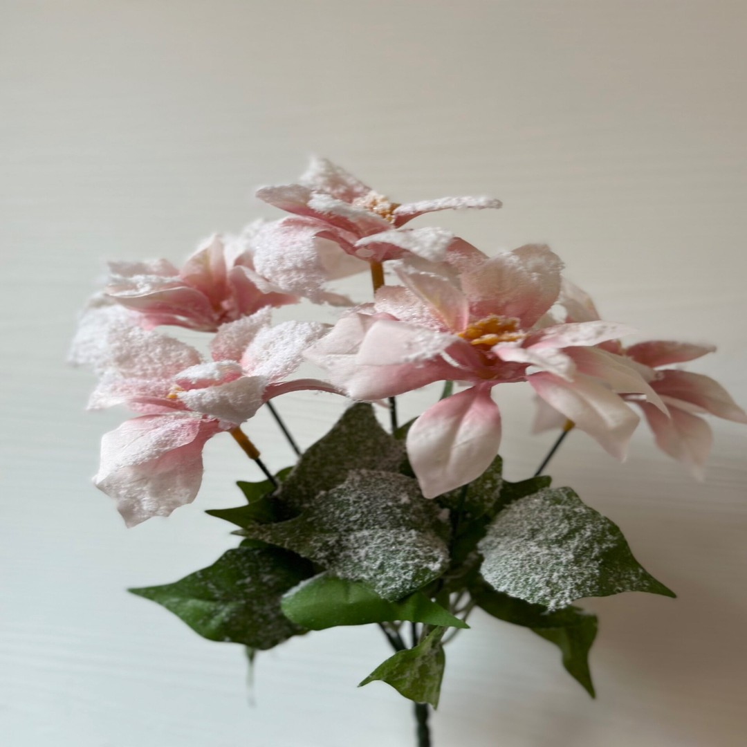Stella di natale rosa - immagine 2