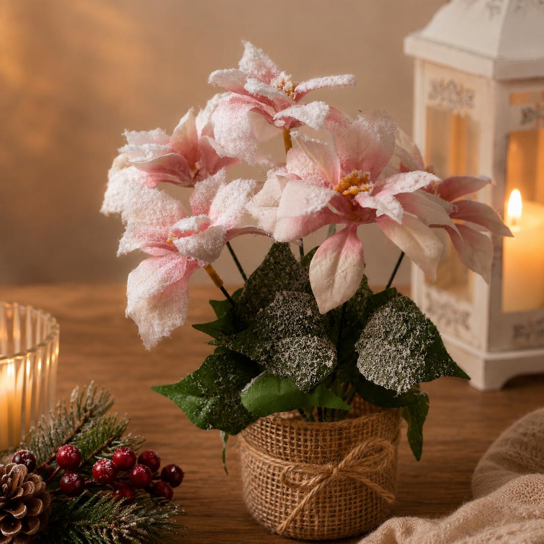 Stella di natale rosa