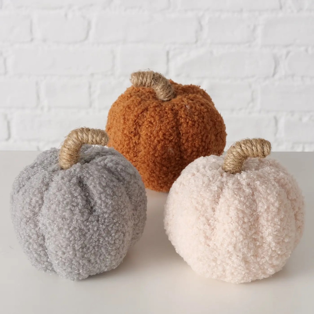 Zucca Teddy grigia - immagine 4