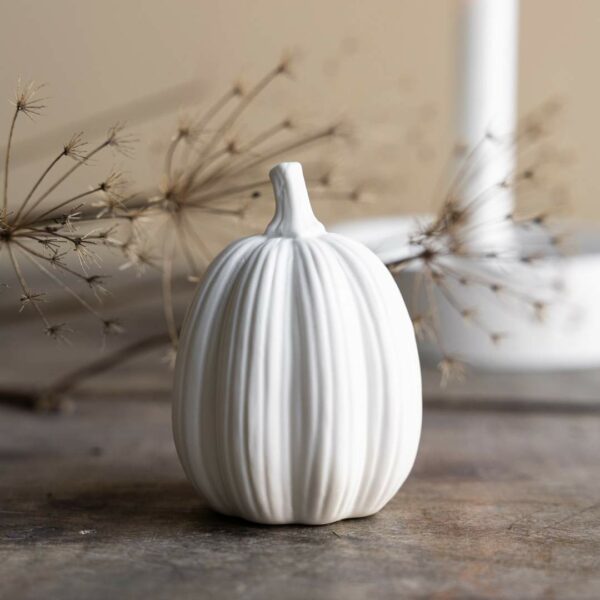 Zucca bianca Tranhult