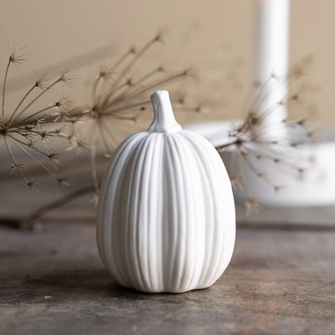 Zucca bianca Tranhult