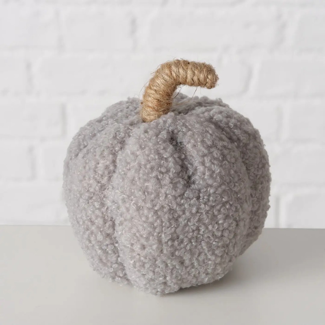 Zucca Teddy grigia - immagine 2