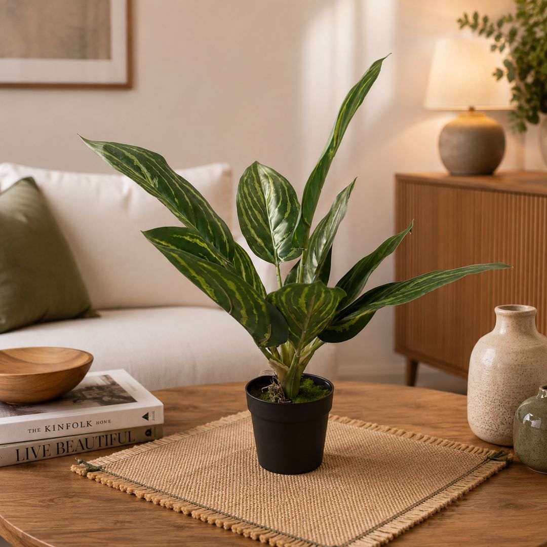 Aglaonema con vaso 43 cm