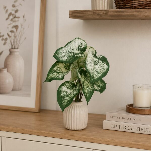 Ramo di Anthurium 38 cm