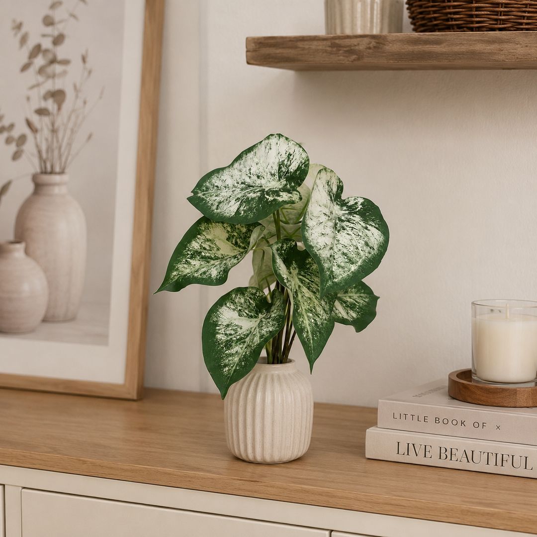 Ramo di Anthurium 38 cm