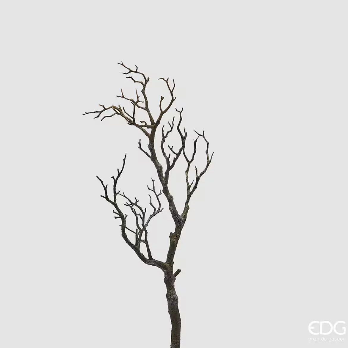 Ramo di Acacia 69 cm - immagine 2