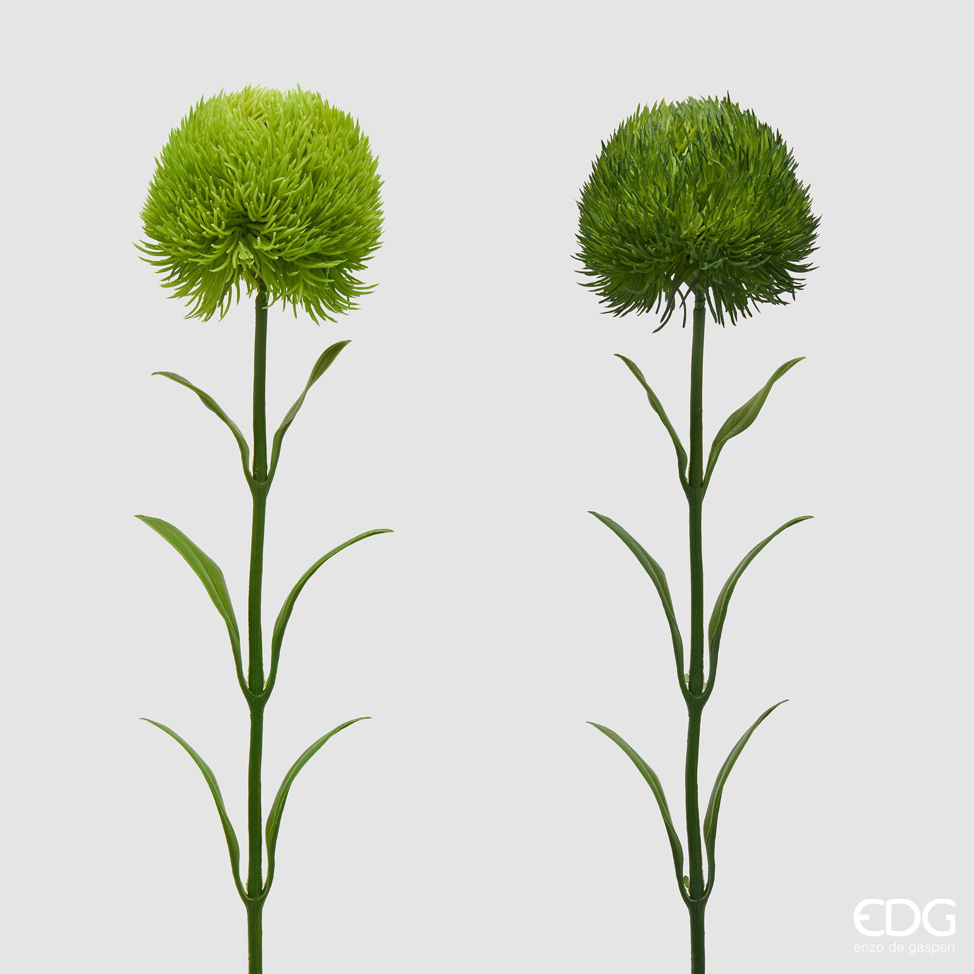 Ramo di Dianthus 52 cm scuro - immagine 2