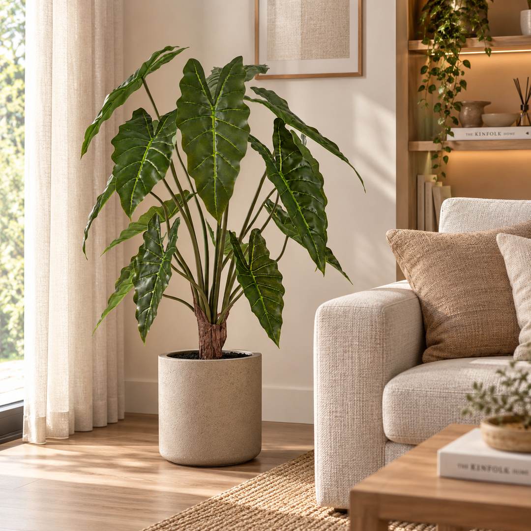 Alocasia con vaso 90 cm
