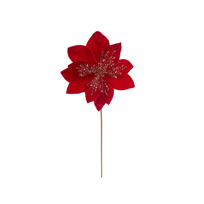 Stella di Natale rossa - immagine 3