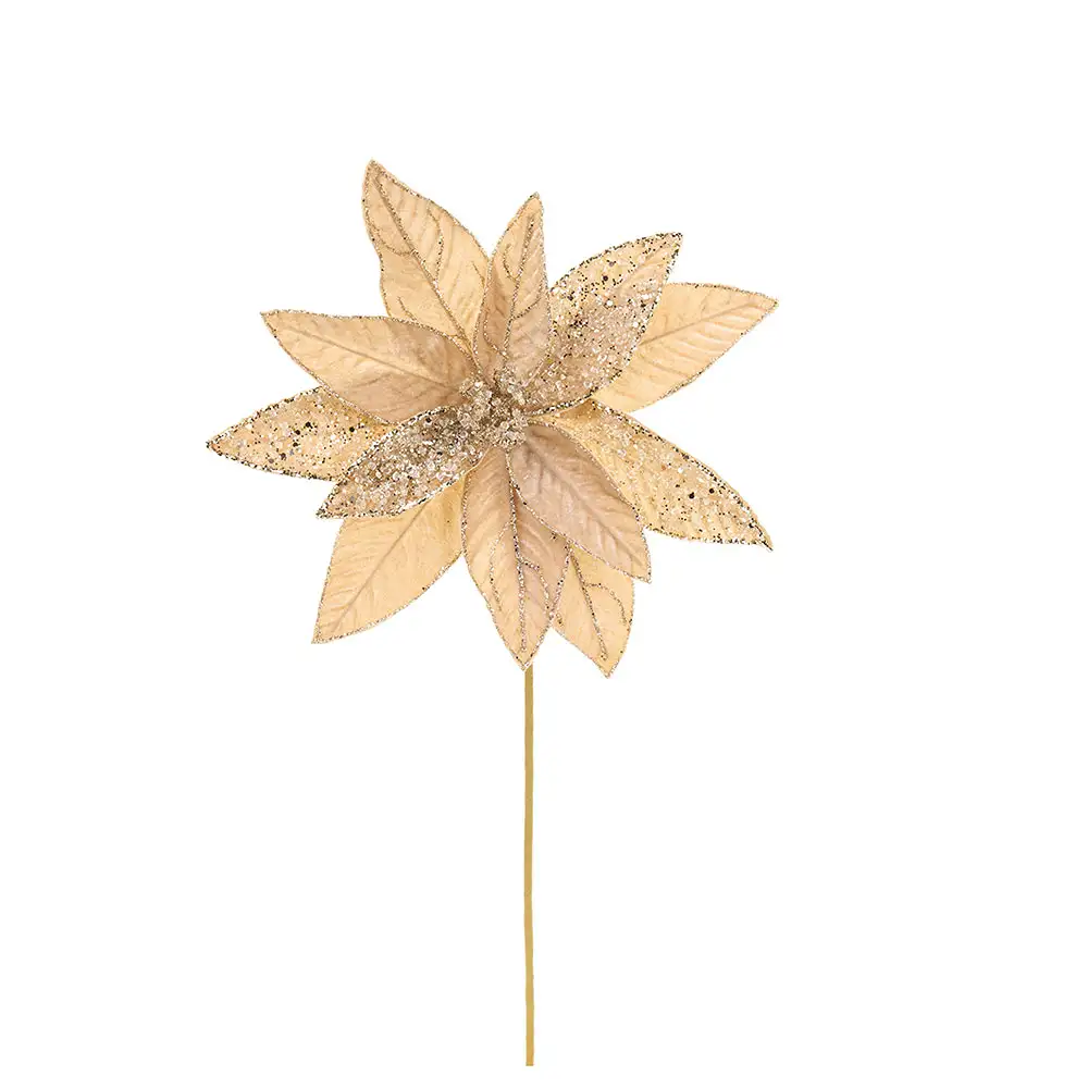 Stella di Natale champagne - immagine 2
